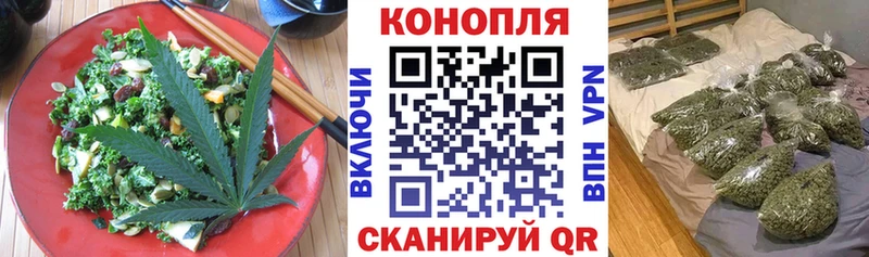 купить  цена  Тверь  Canna-Cookies конопля 