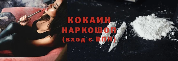 сатива Абаза