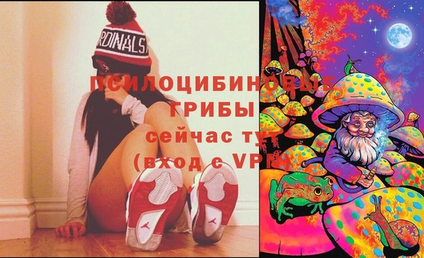 твердый Алзамай