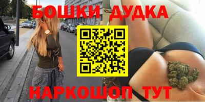шишки Обь
